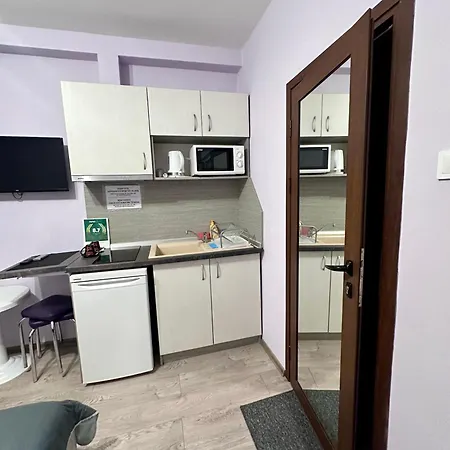 Guest house Saraya 3*